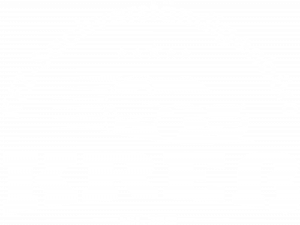 gutachter kress schadensgutachten wertgutachten